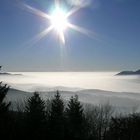 Blick von Vogesen über Rheintal auf Schwarzwald