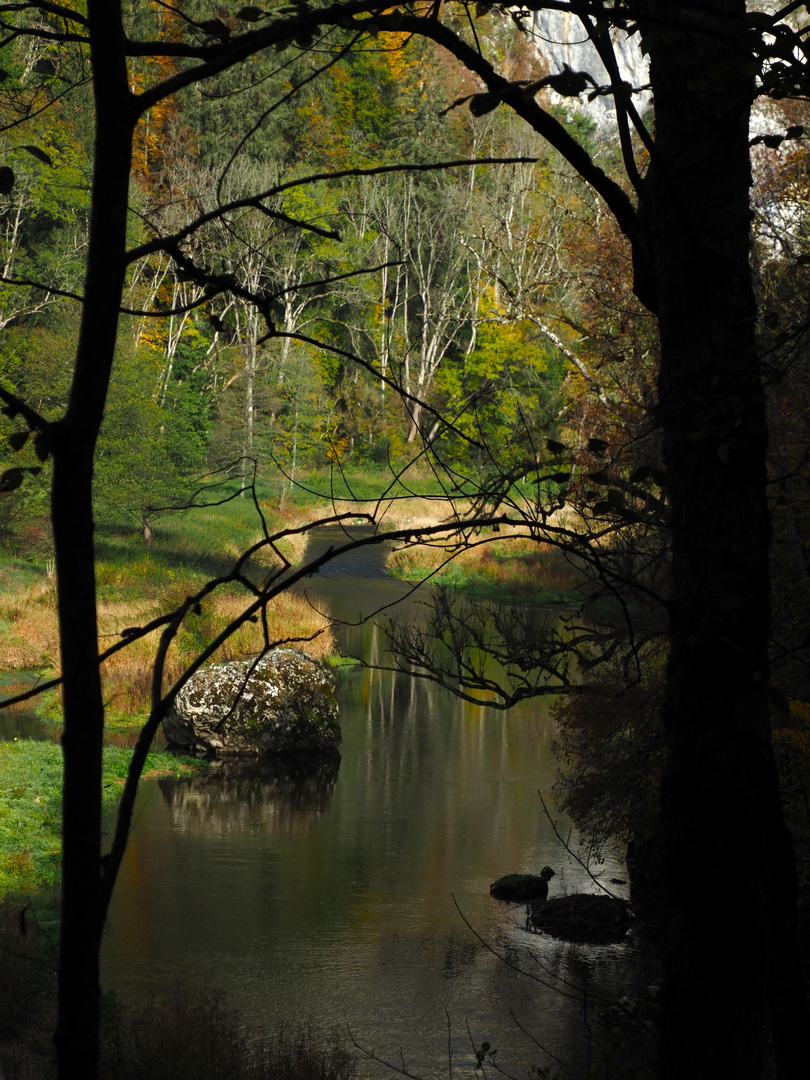 Blick von Wanderweg