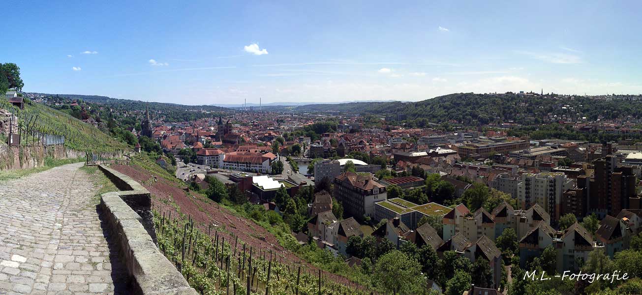 Blick von Weinbergen über Esslingen Neckar