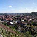 Blick von Weinbergen über Esslingen Neckar