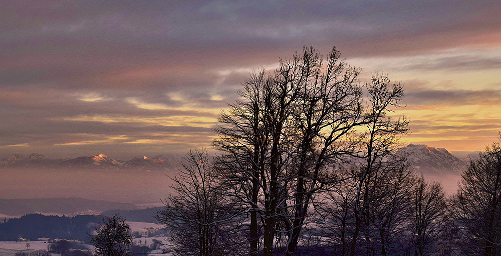 Blick von Wolfsegg in´s Salzkammergut