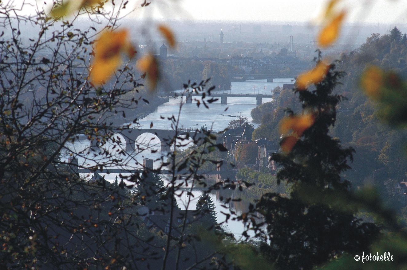 Blick von Ziegelhausen auf alle Brücken von HD