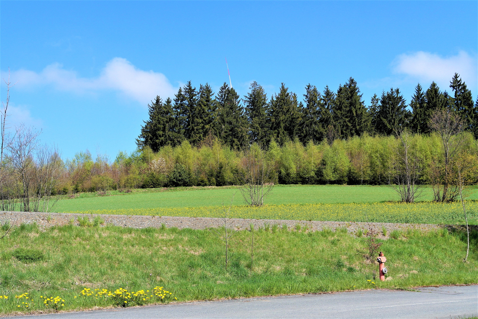 Blick vor dem Küchenfenster auf den Wald