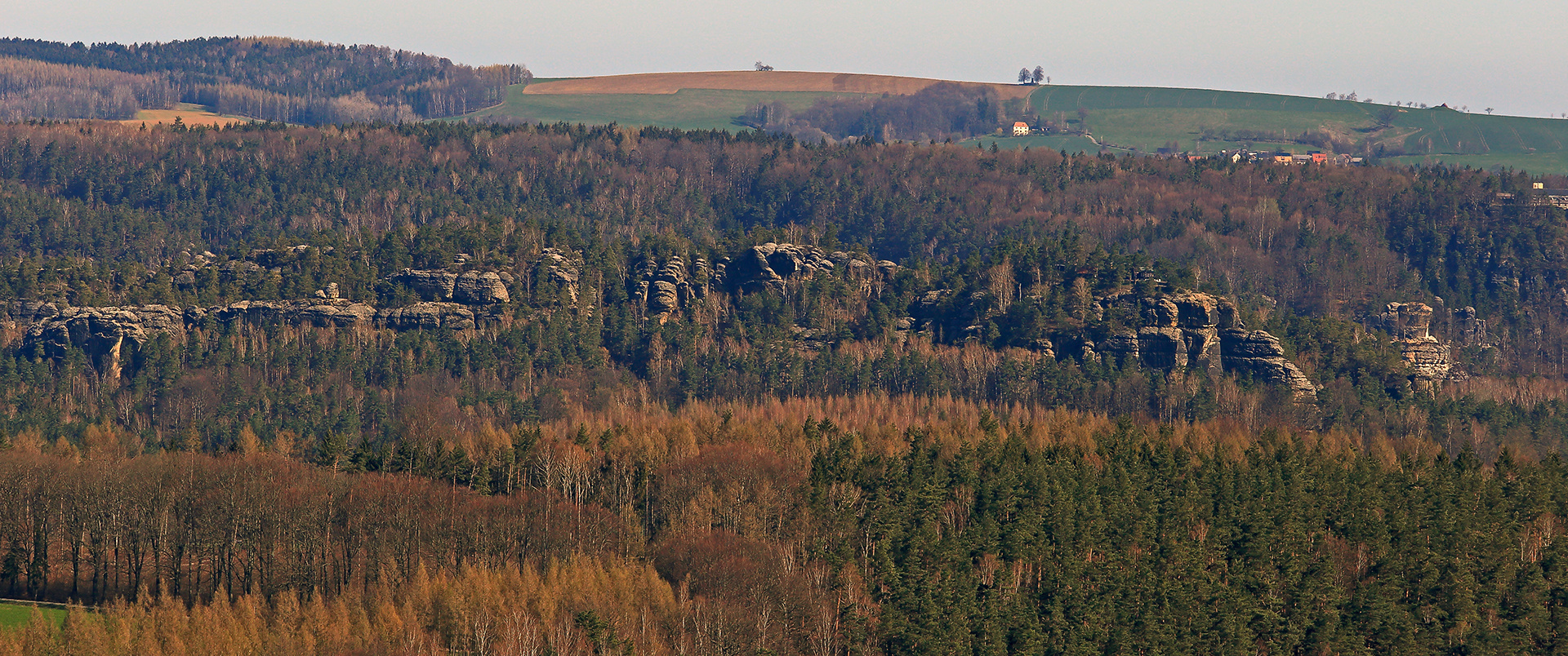 Blick zu beiden markanten Baumgruppen des Gebietes um den...