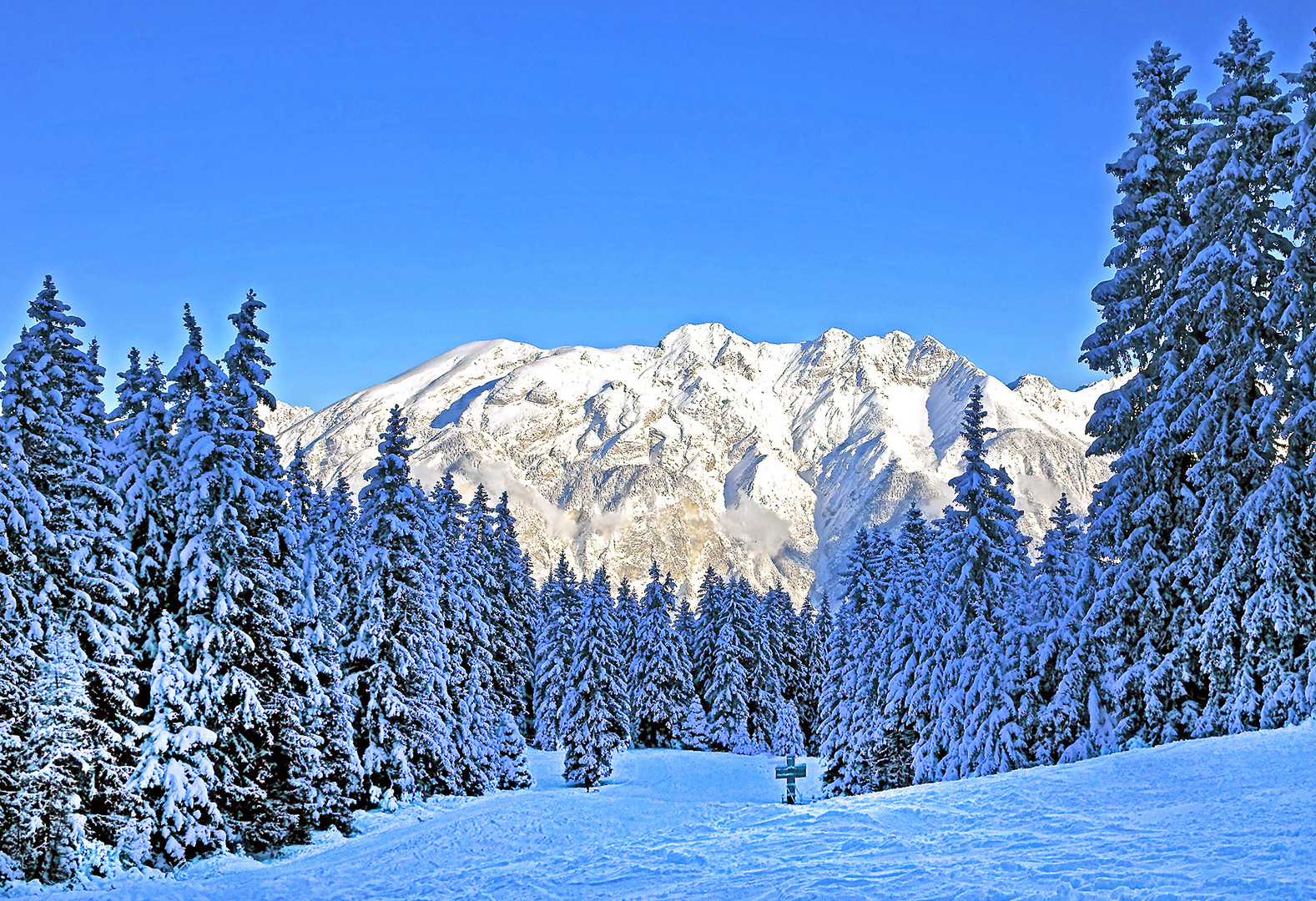 Blick zu Brandjoch und Solstein.