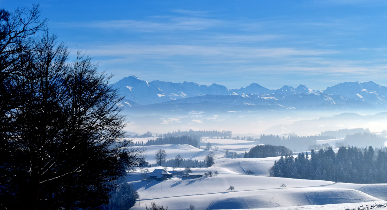 Blick zu den Alpen