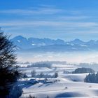 Blick zu den Alpen