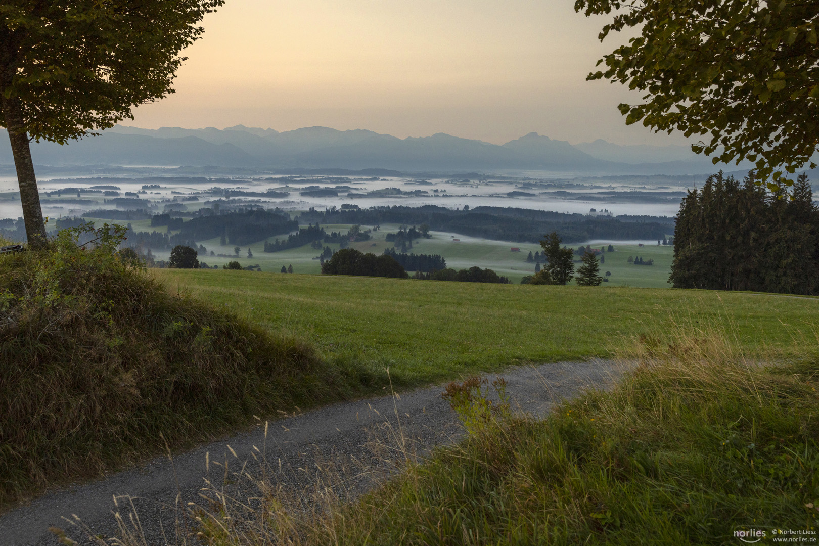 Blick zu den Alpen