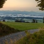 Blick zu den Alpen