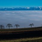 Blick zu den Alpen