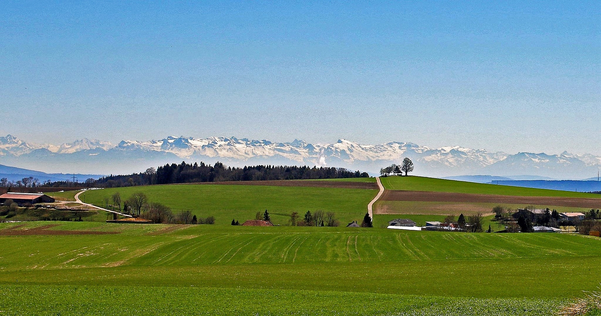 Blick zu den Alpen