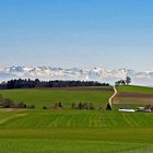 Blick zu den Alpen