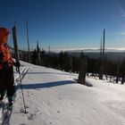 Blick zu den Alpen und dem Vorwald