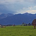 Blick zu den Alpengipfeln