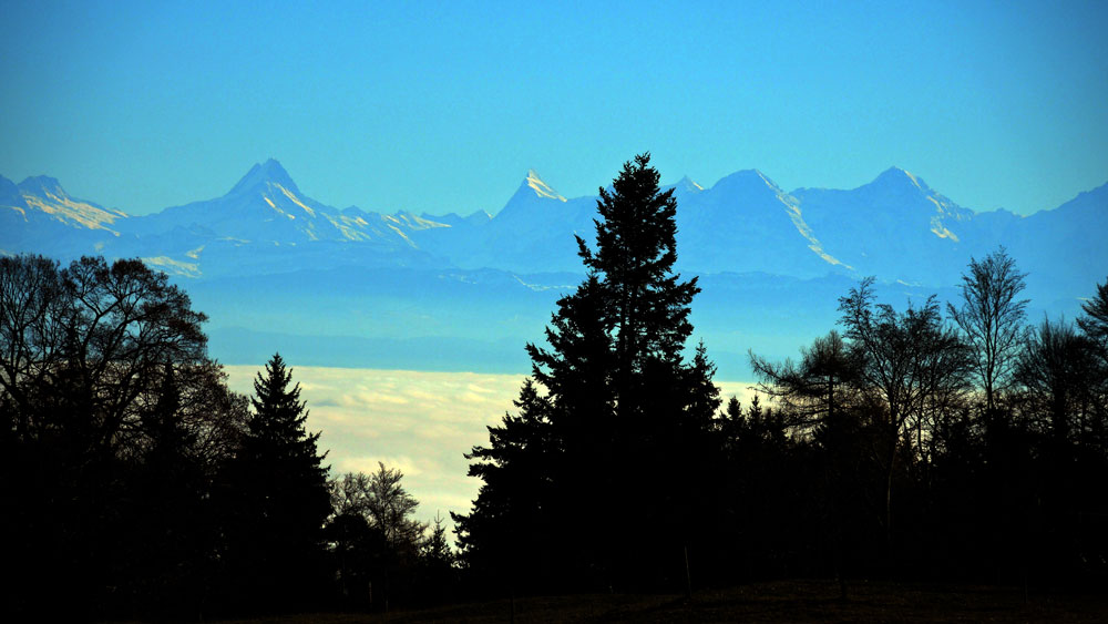 Blick zu den Berneralpen