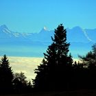 Blick zu den Berneralpen