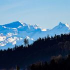 Blick zu den Berneralpen