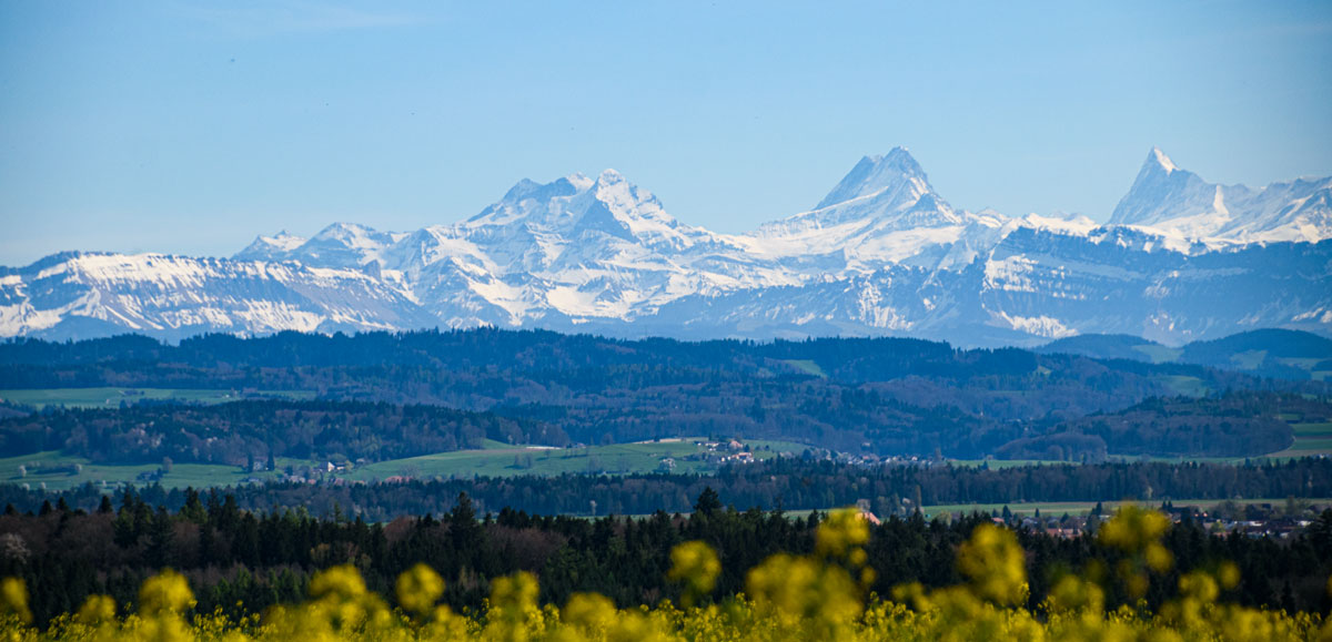 Blick zu den Berneralpen