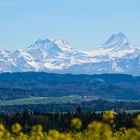 Blick zu den Berneralpen