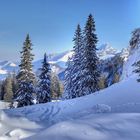 Blick zu den Chiemgauer Alpen