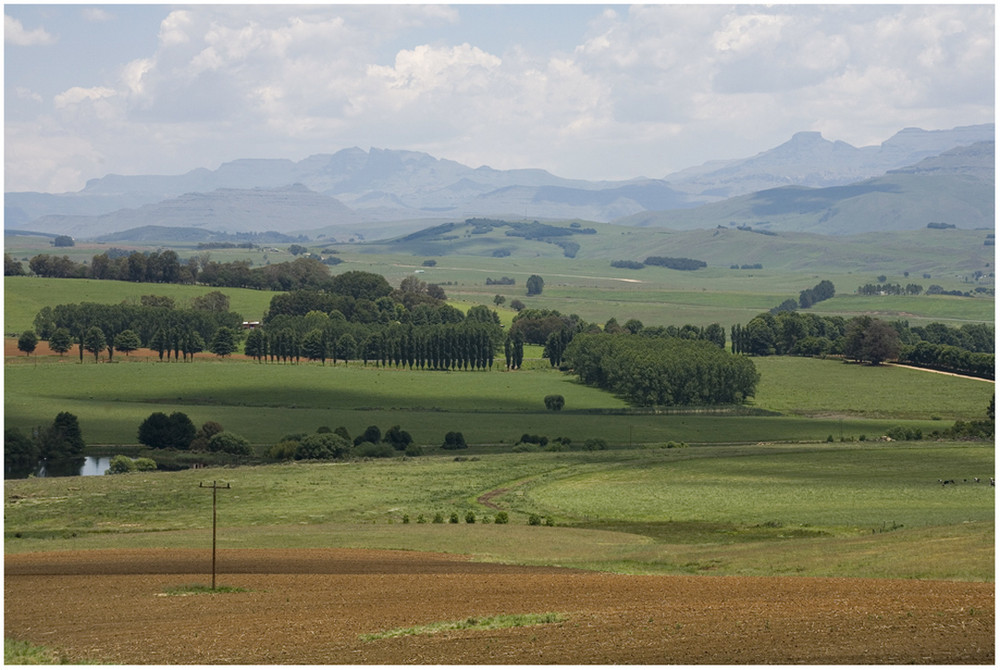 Blick zu den Drakensbergen und dem Sanipass