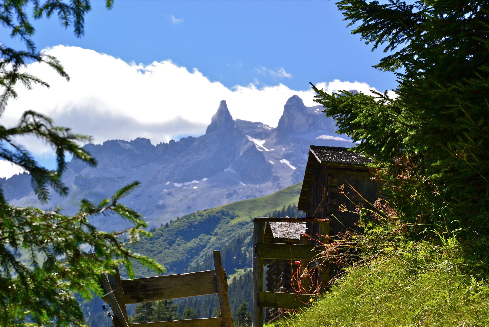 Blick zu den DREI TÜRMEN …