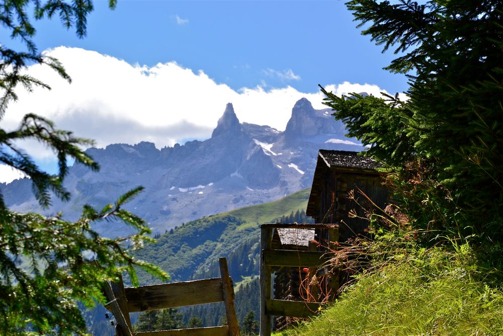 Blick zu den DREI TÜRMEN …