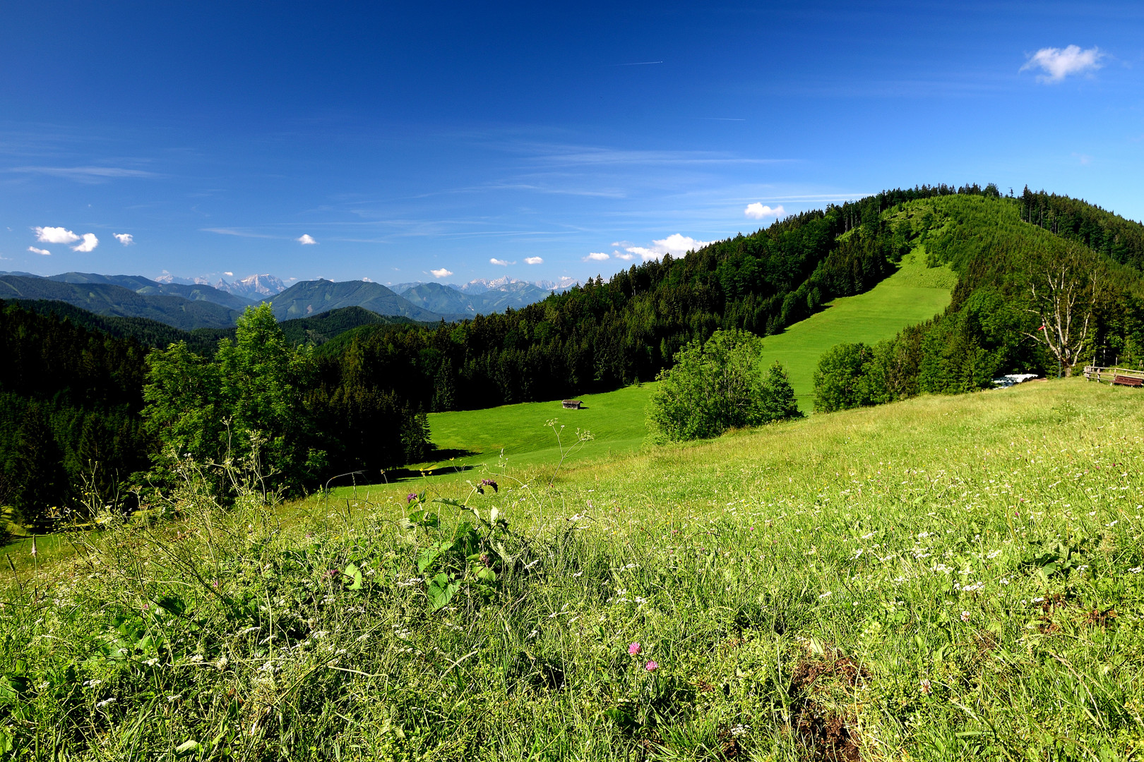 Blick zu den Gesäusebergen