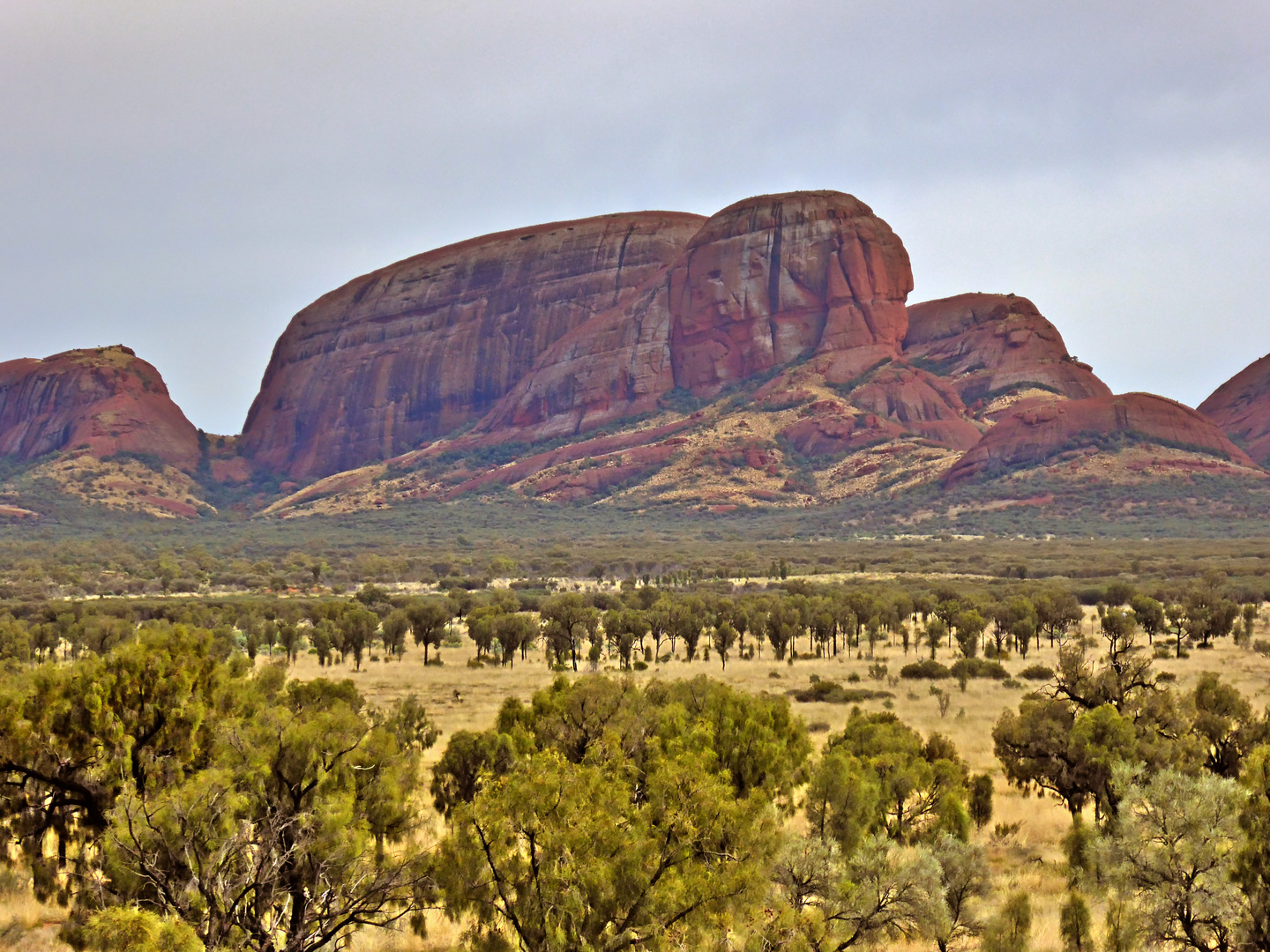 Blick zu den Kata Tjuta