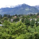 Blick zu den Ötztaler Alpen