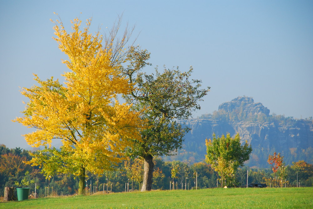 Blick zu den Schrammsteinen