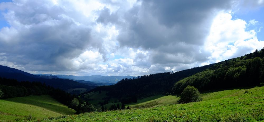 Blick zu den Vogesen