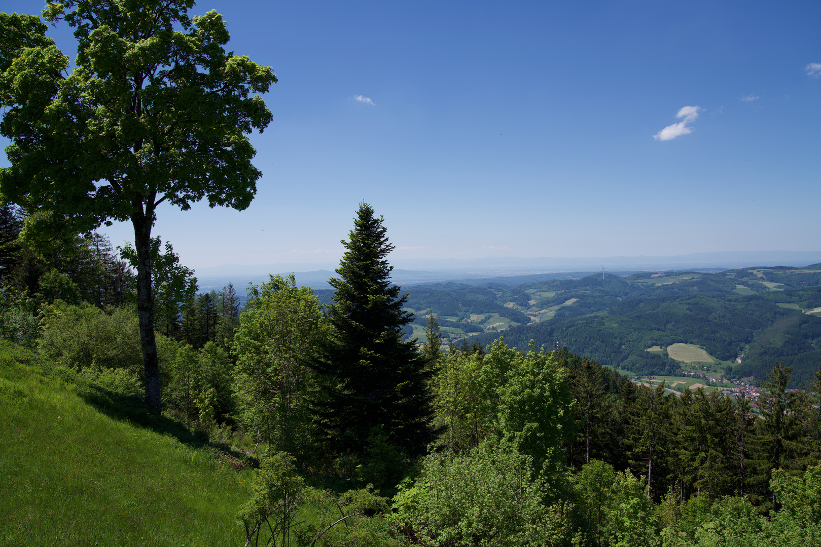 Blick zu den Vogesen