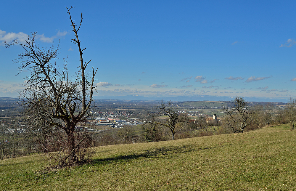 Blick zu den Vogesen