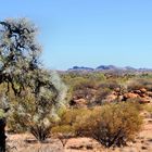 Blick zu den West MacDonnell Ranges