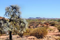 Blick zu den West MacDonnell Ranges