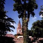 Blick zu Marienkirche