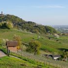 Blick zu Schloßberg Heppenheim 2016