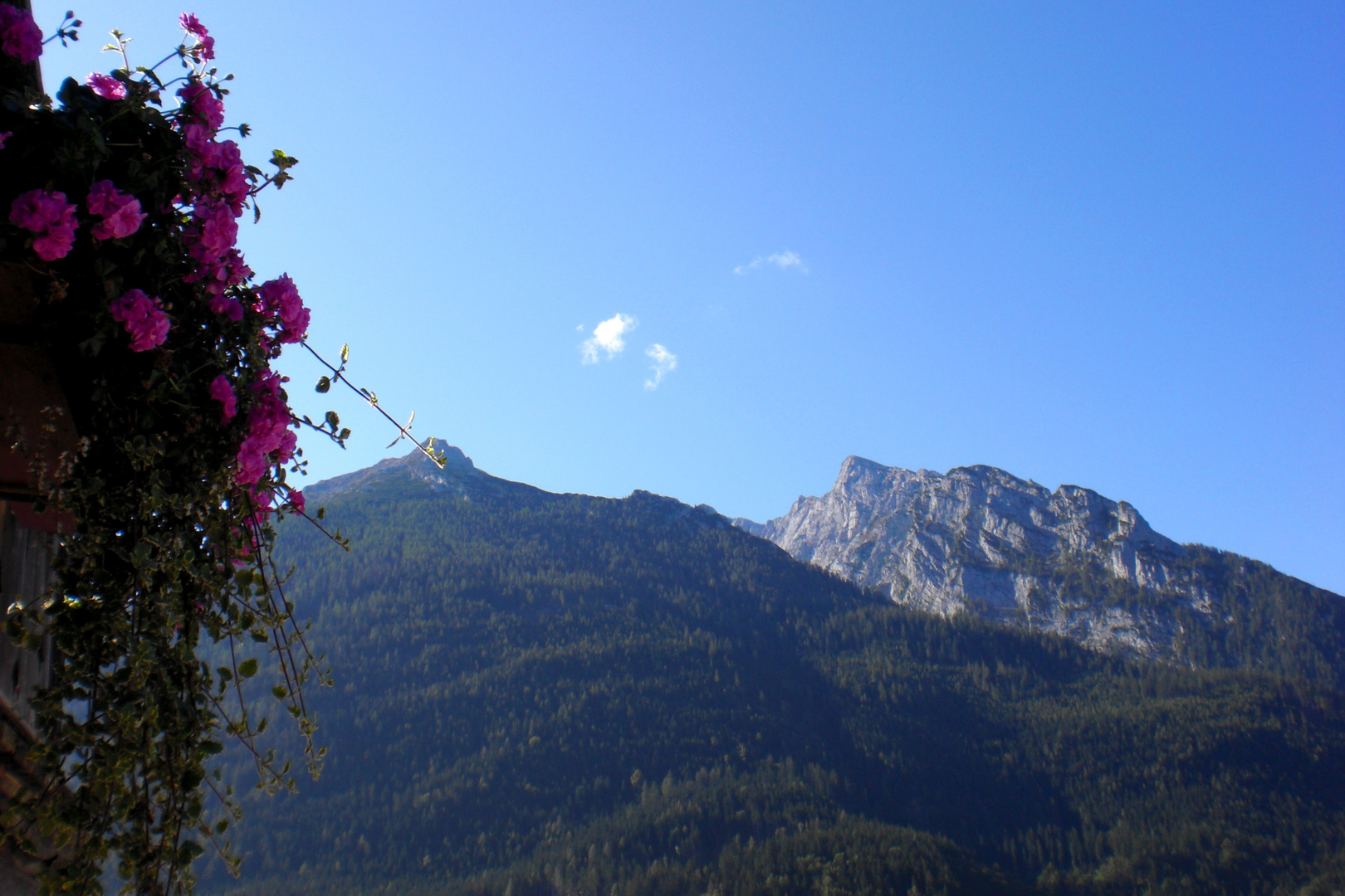 Blick zu Steinberg