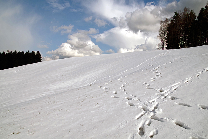 blick zum adamsblick