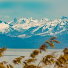 Blick zum Allgäu