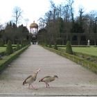 Blick zum Apollotempel