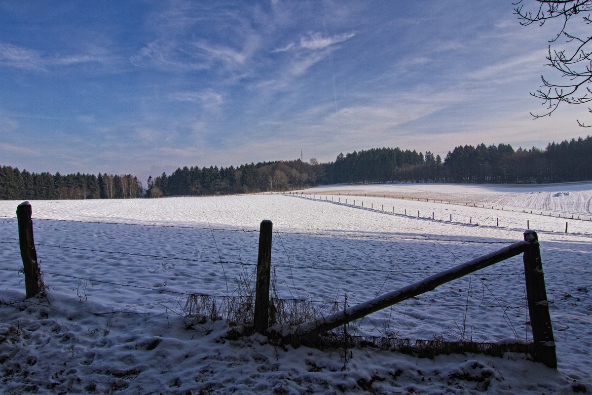 Blick zum Arney