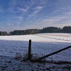 Blick zum Arney