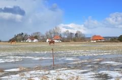 Blick zum Asta Nielsen-Haus 5