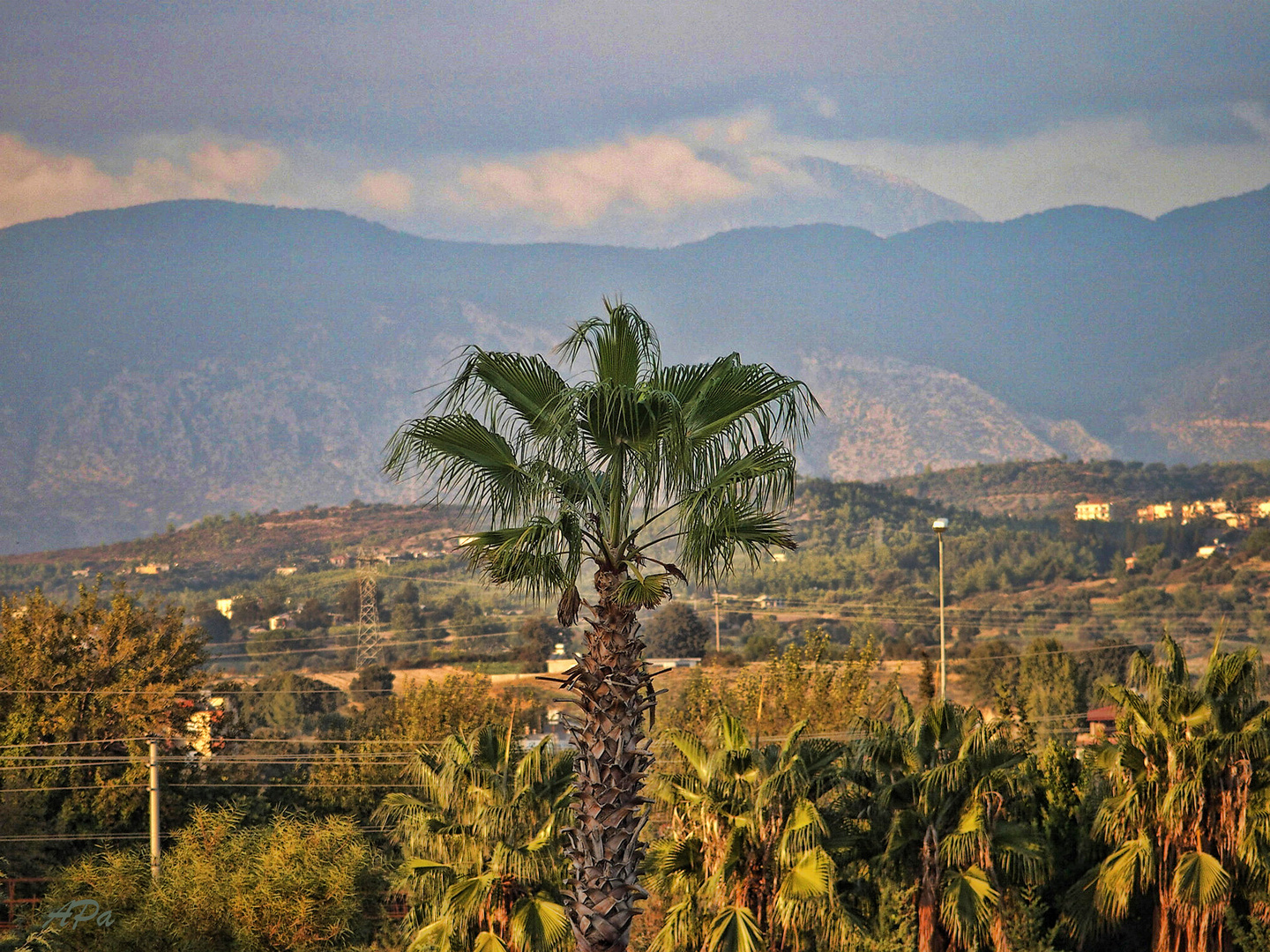 Blick zum Atlasgebirge