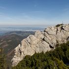 Blick zum Attersee