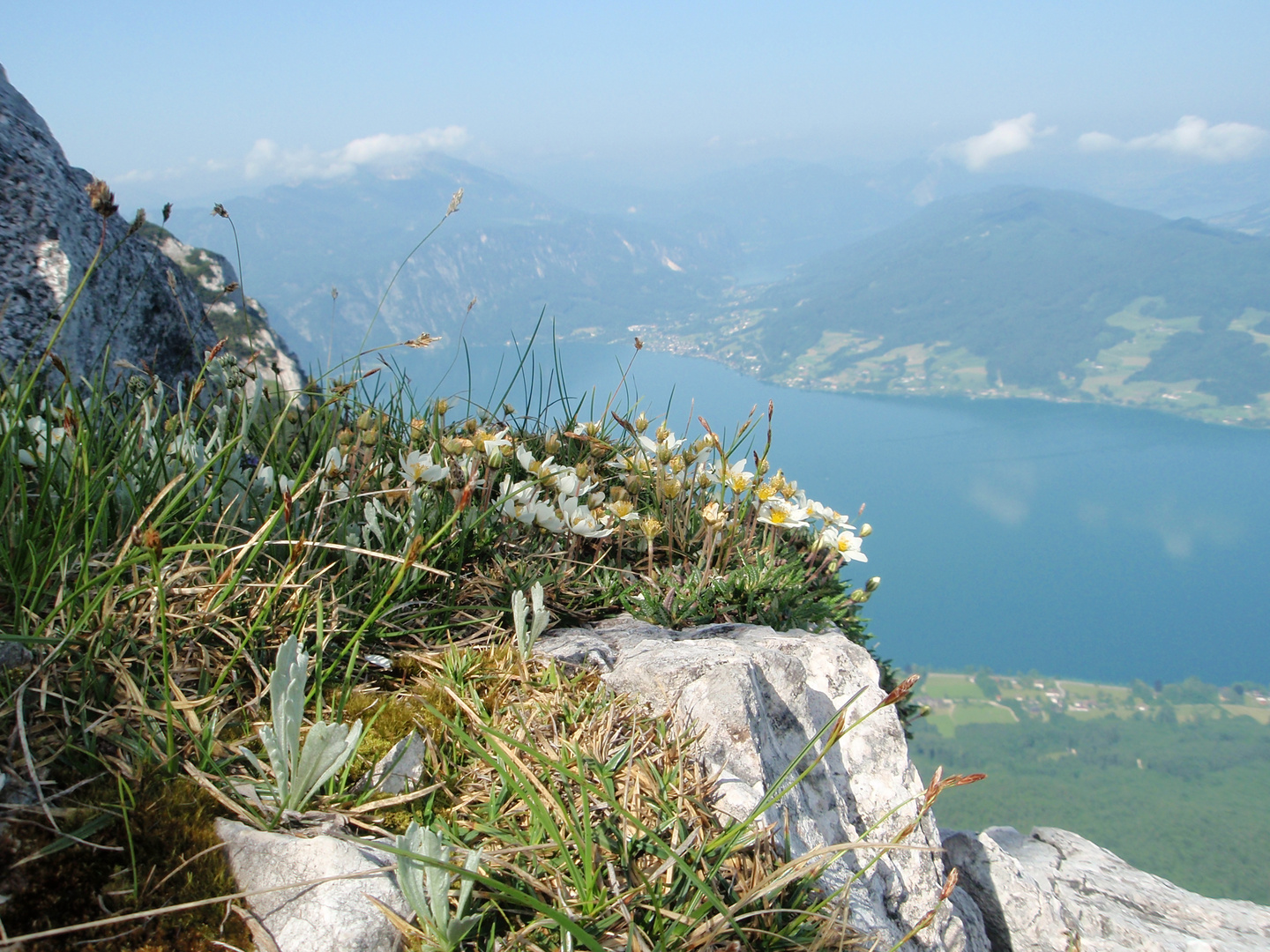 Blick zum Attersee