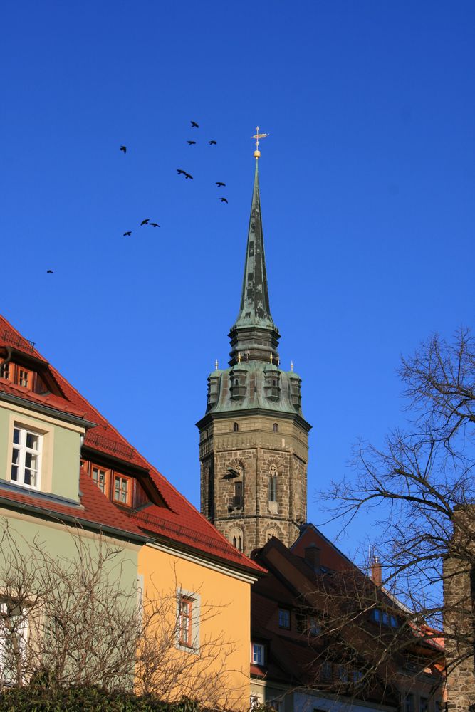 Blick zum Bautzener Dom