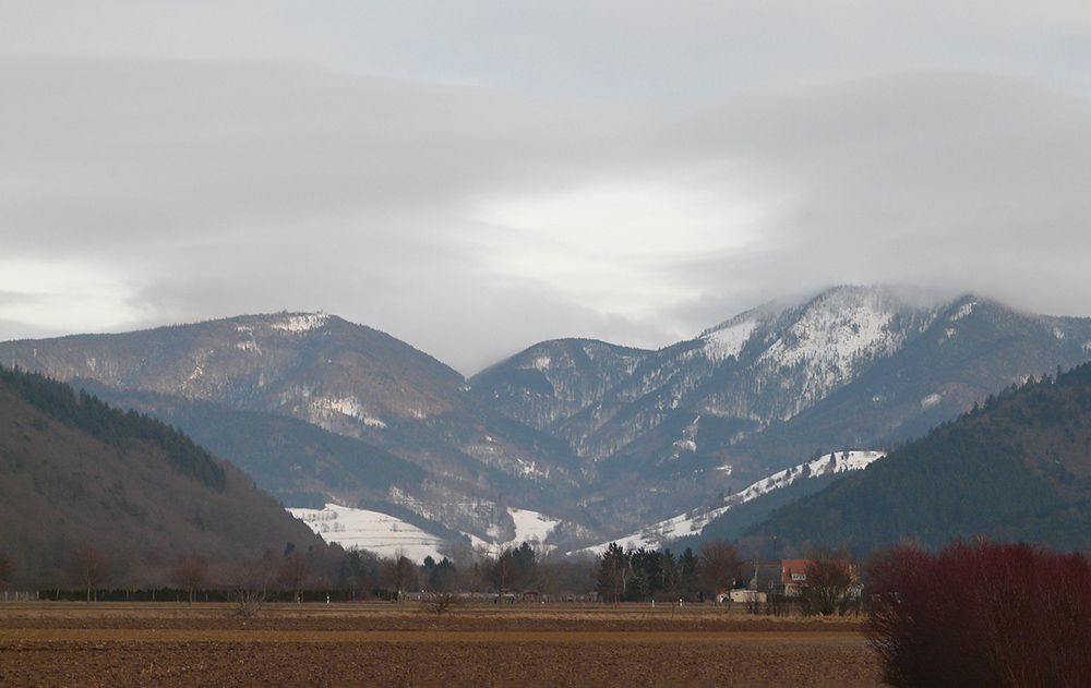 Blick zum Belchen....